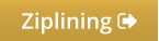 Ziplining 